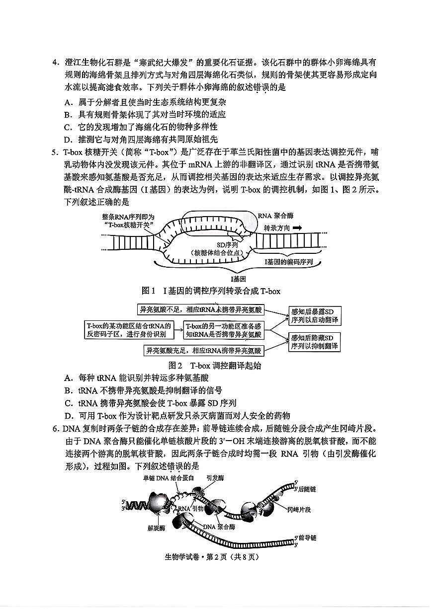 云南省红河州、文山州2026届高中毕业生高三年级第二次复习统一检测(红河文山二统)生物试卷第2页