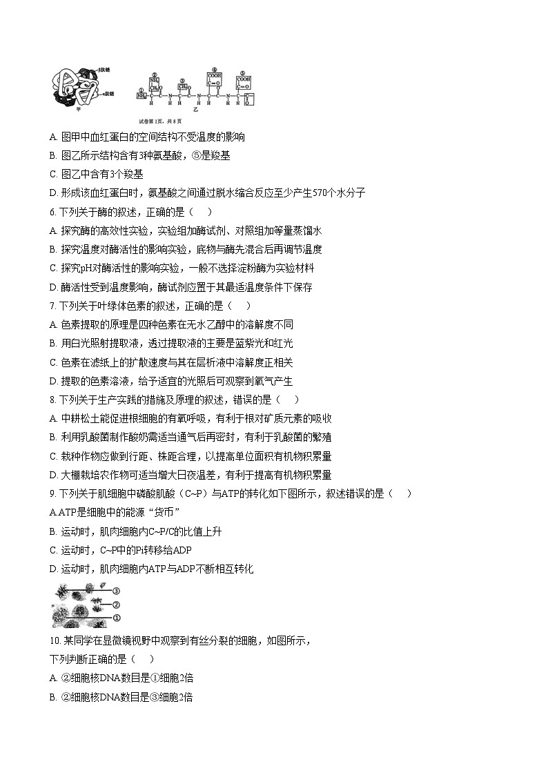 福建福州三中2025_2026学年第一学期期末考试高一生物试卷第2页