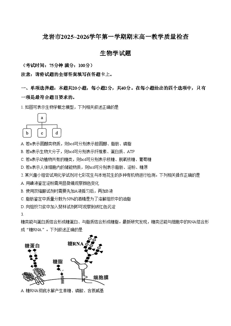 福建龙岩市2025_2026学年高一上学期教学质量检查生物学试题（文字版，含答案）第1页