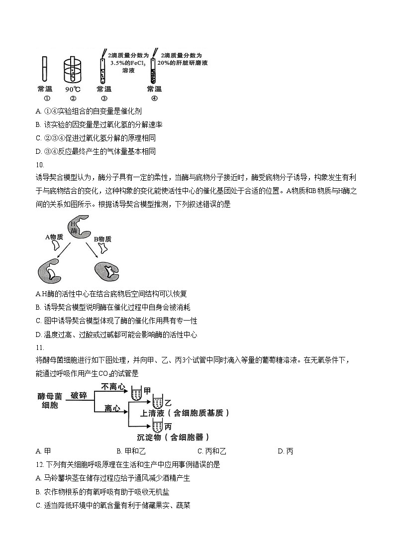 福建龙岩市2025_2026学年高一上学期教学质量检查生物学试题（文字版，含答案）第3页