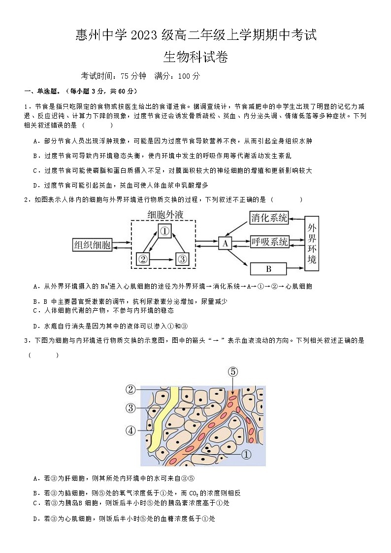 广东省惠州市惠城区惠州中学2024-2025学年高二上学期11月期中考试生物试题第1页