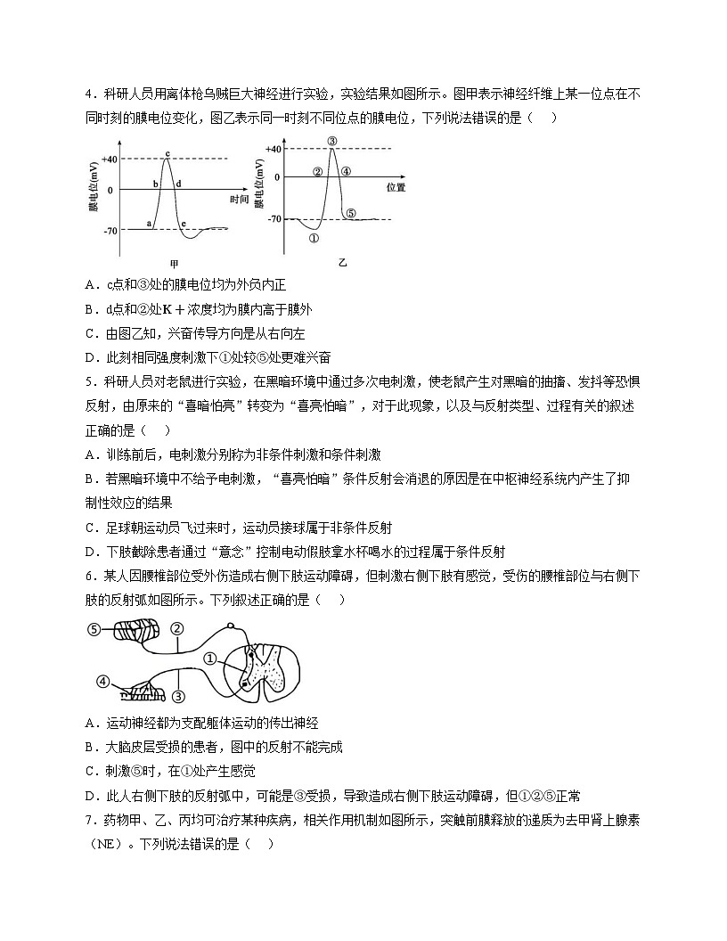 江西省抚州市临川第一中学2025_2026学年高二上学期期中考试生物试题（文字版，含答案）第2页