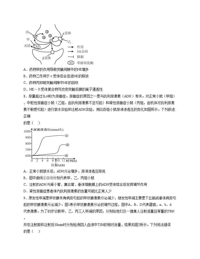 江西省抚州市临川第一中学2025_2026学年高二上学期期中考试生物试题（文字版，含答案）第3页