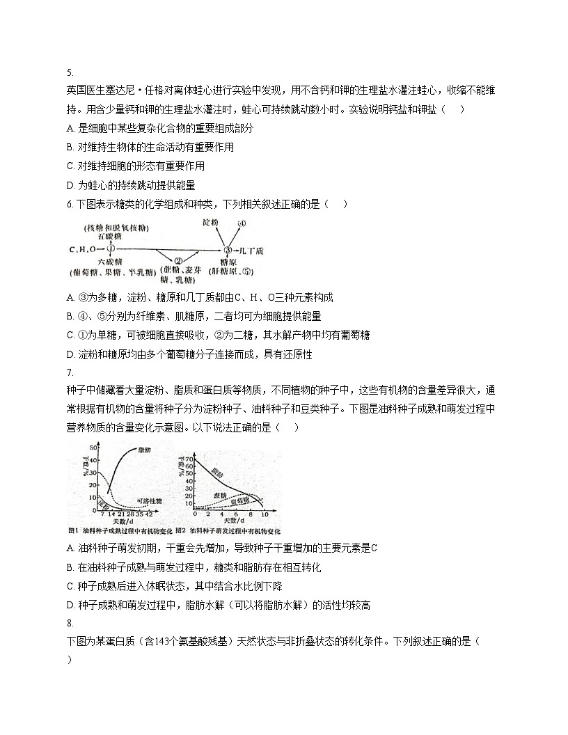广东省广州市实验外语学校2025_2026学年高一上学期期中测试生物试卷（文字版，含答案）第2页