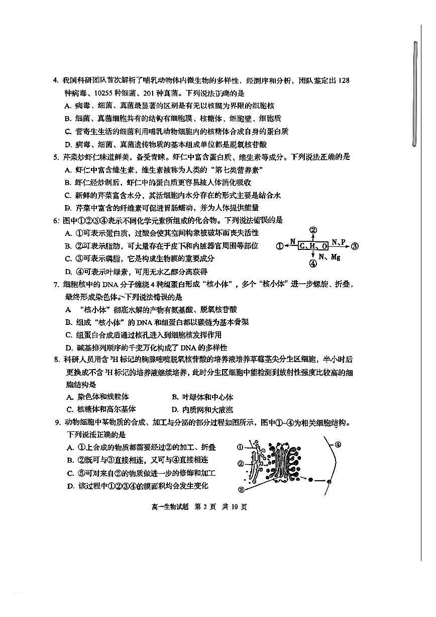 山东省青岛市2025-2026学年第一学期高一期末测试 生物试题及答案第2页