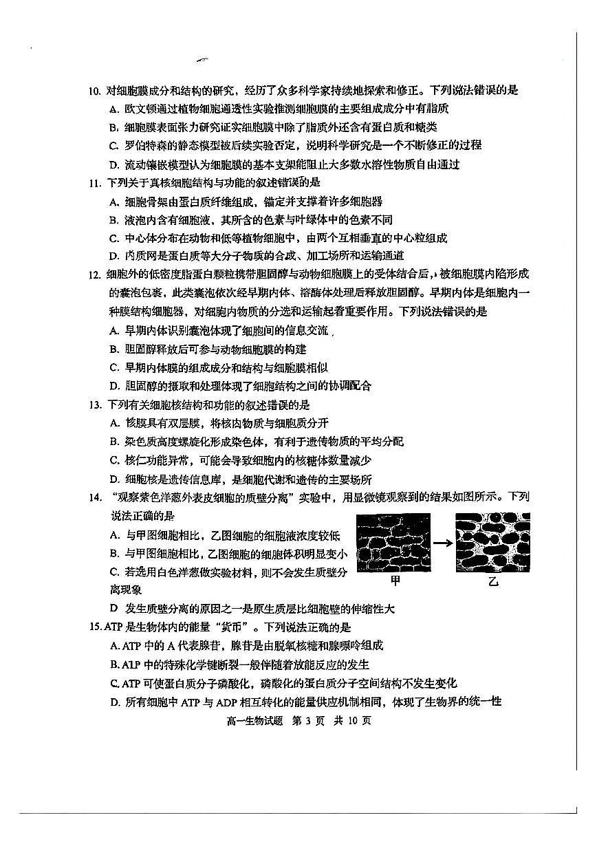 山东省青岛市2025-2026学年第一学期高一期末测试 生物试题及答案第3页