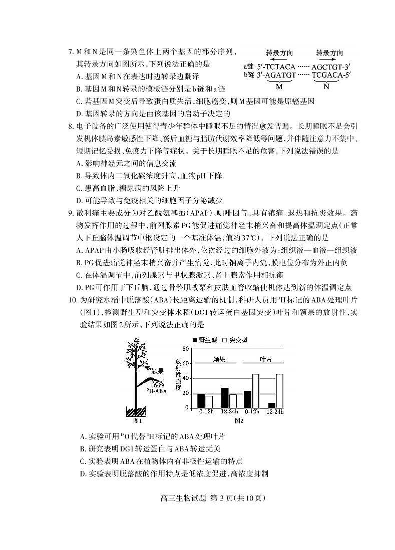 2026届山东省泰安市高三一模上学期一轮检测 生物试题及答案第3页