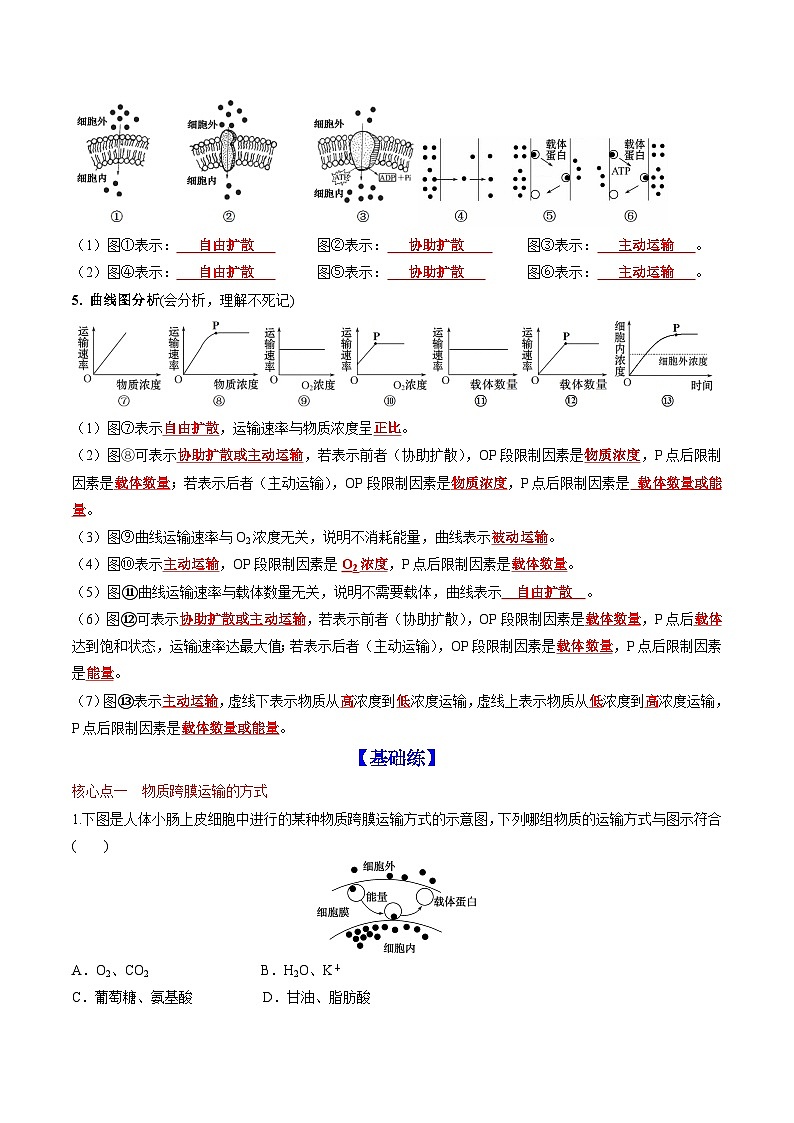 4.2 主动运输与胞吞、胞吐（课后练习）---2025-2026学年高一上学期《生物》（人教版）必修1第2页
