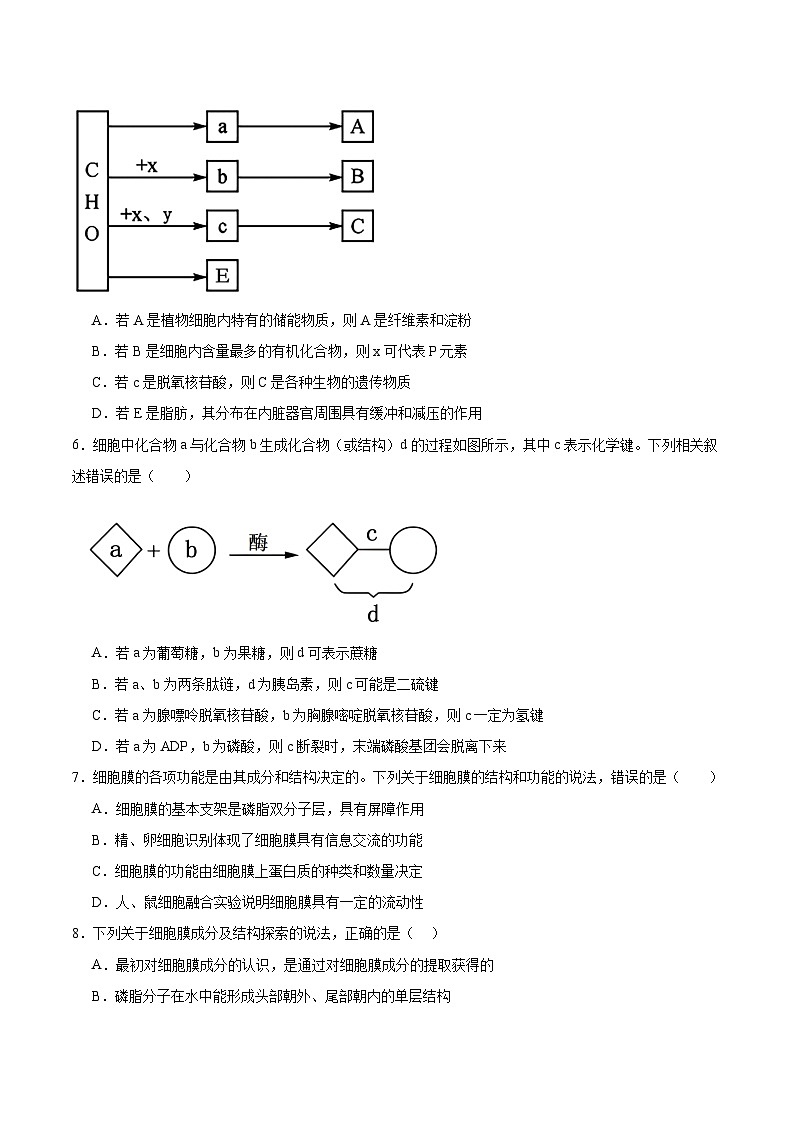 湖北省随州市部分高中2025-2026学年高一上学期期末联考生物试卷（含答案）含答案解析第2页