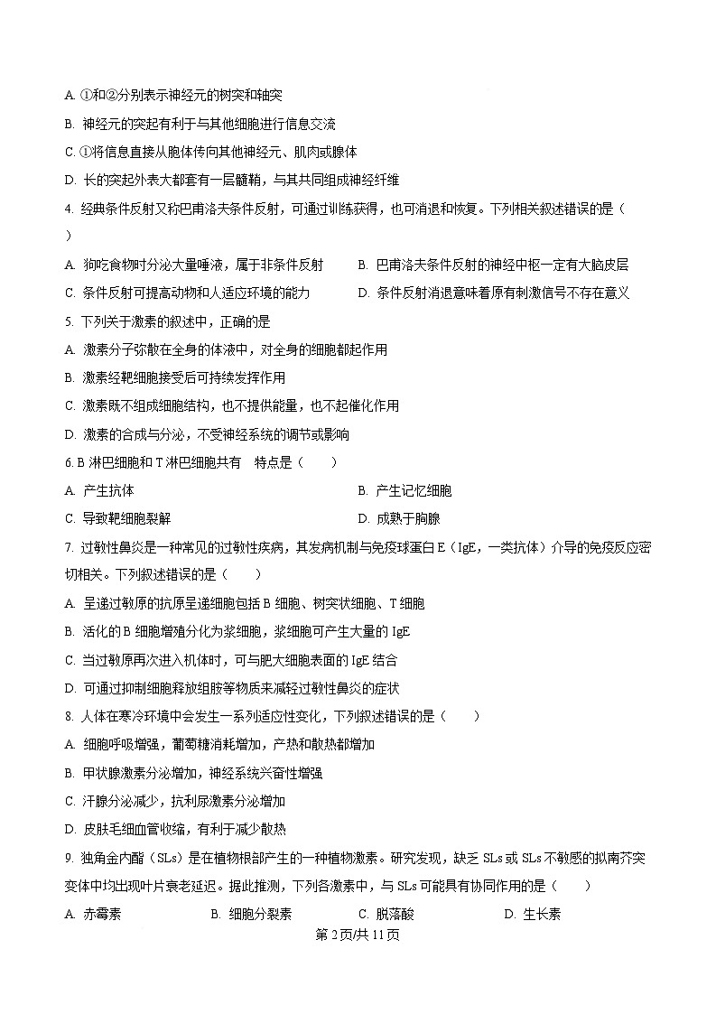 吉林省友好学校第八十届2025-2026学年高二上学期1月期末联考生物试卷（含答案）含答案解析第2页