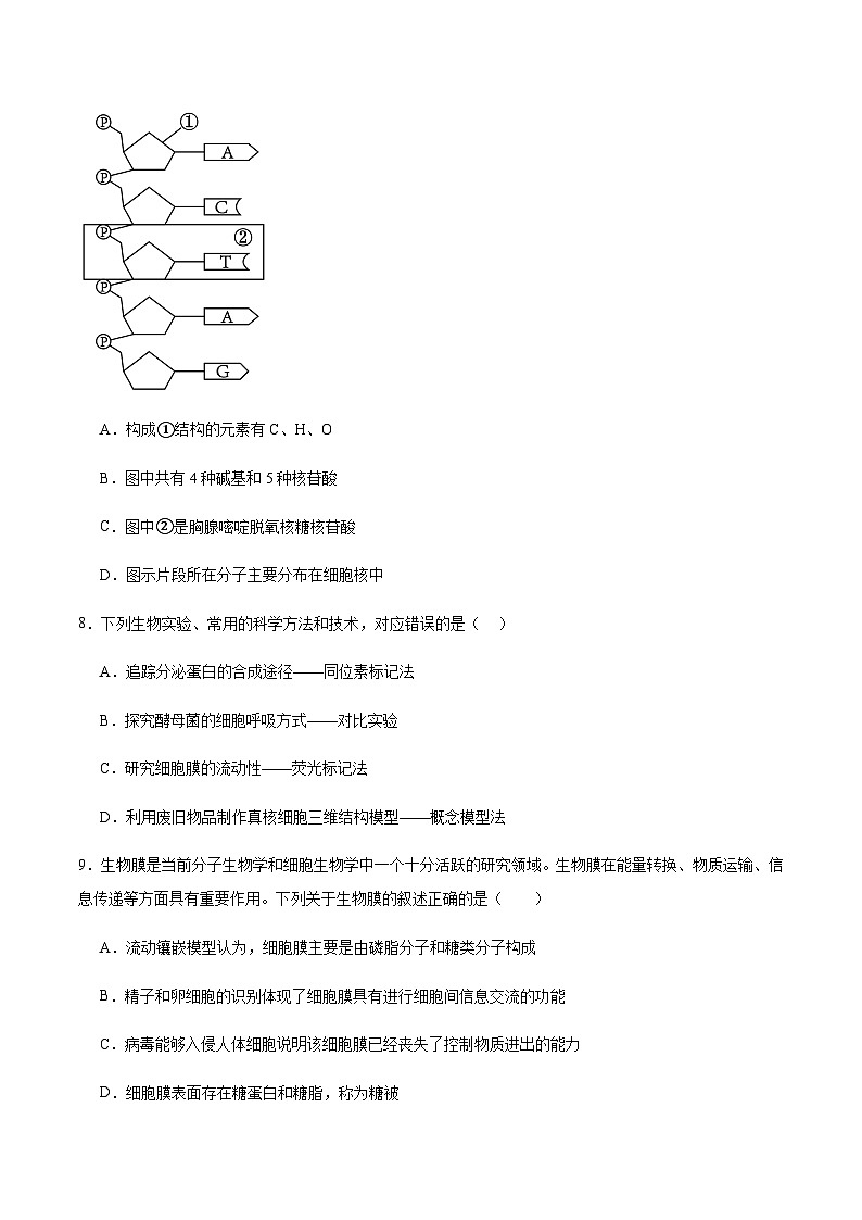 吉林省友好学校第八十届2025-2026学年高一上学期1月期末联考生物试卷（含答案）含答案解析第3页