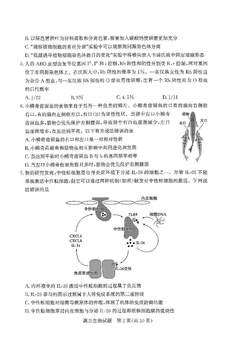枣庄市2026届高三第一学期质量检测生物+答案第2页