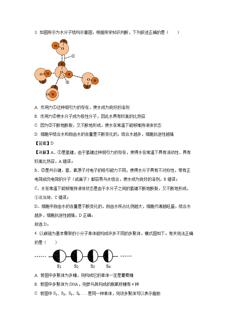【生物】安徽省蚌埠市B层高中2025-2026学年高一上学期1月月考试题（解析版）第2页