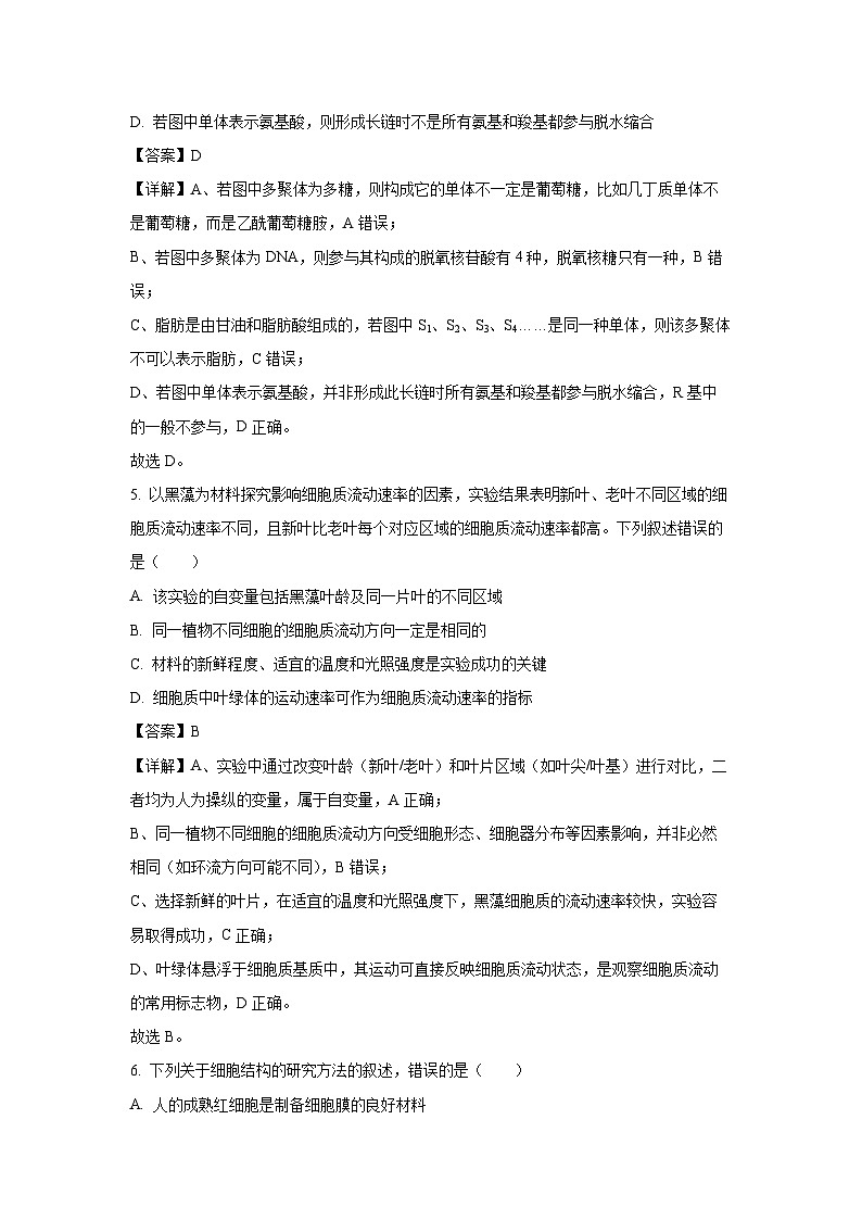 【生物】安徽省蚌埠市B层高中2025-2026学年高一上学期1月月考试题（解析版）第3页