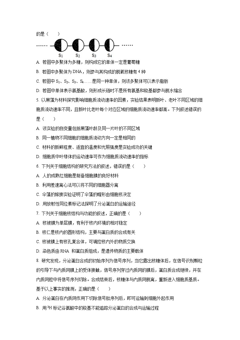 【生物】安徽省蚌埠市B层高中2025-2026学年高一上学期1月月考试题（学生版）第2页