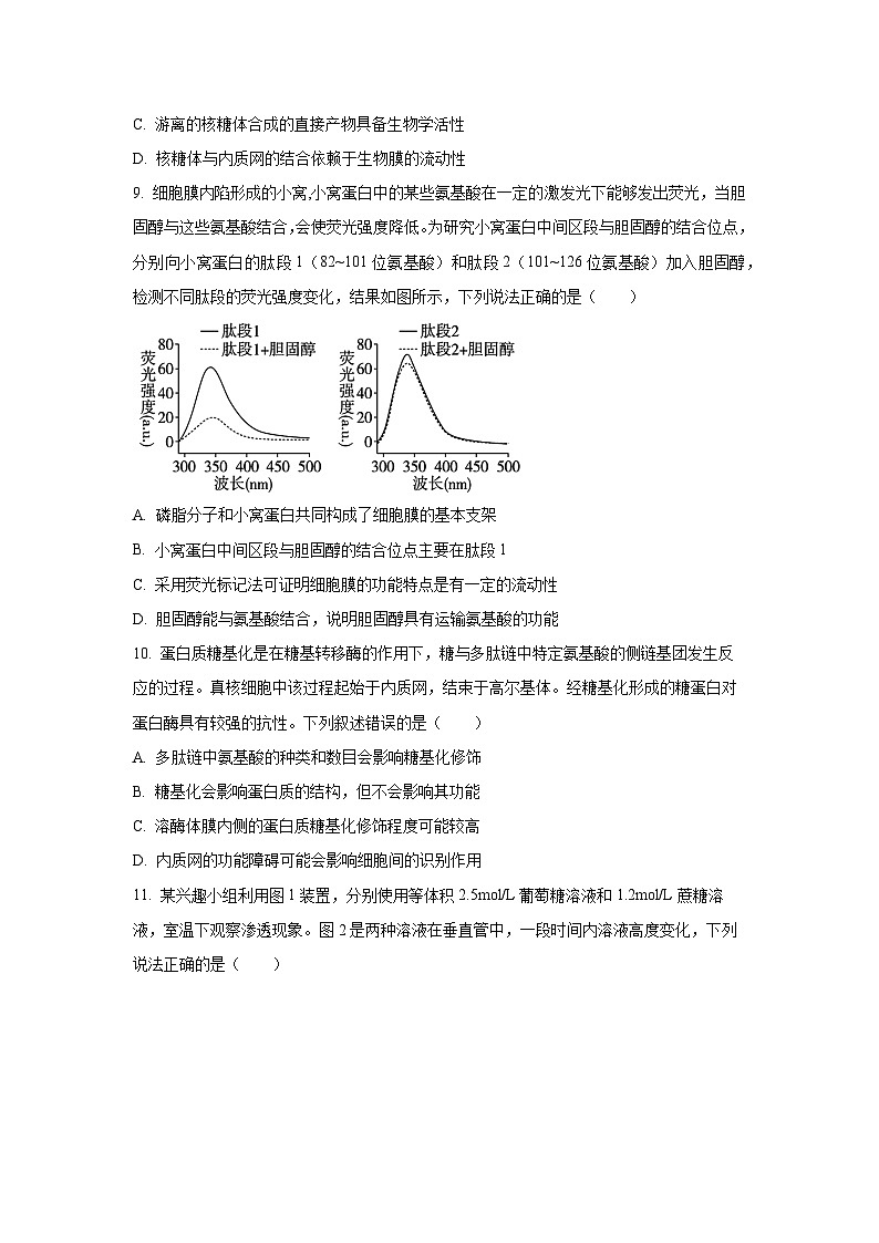【生物】安徽省蚌埠市B层高中2025-2026学年高一上学期1月月考试题（学生版）第3页