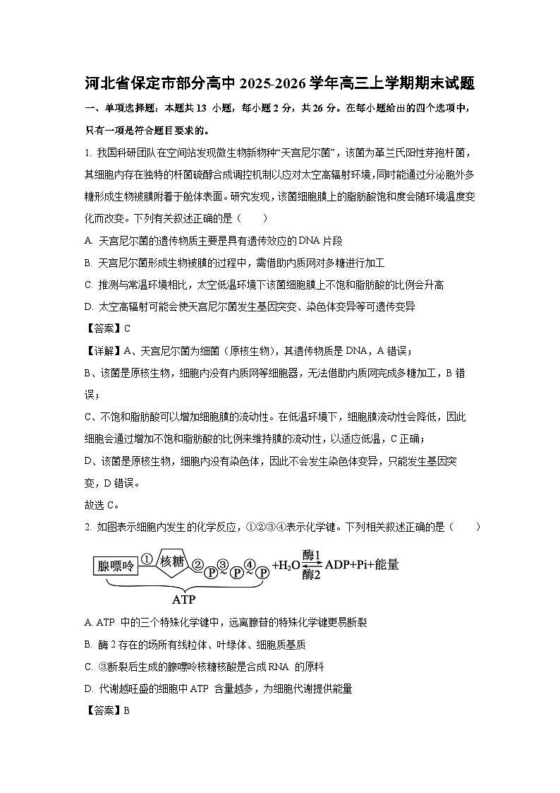 【生物】河北省保定市部分高中2025-2026学年高三上学期期末试题（解析版）第1页