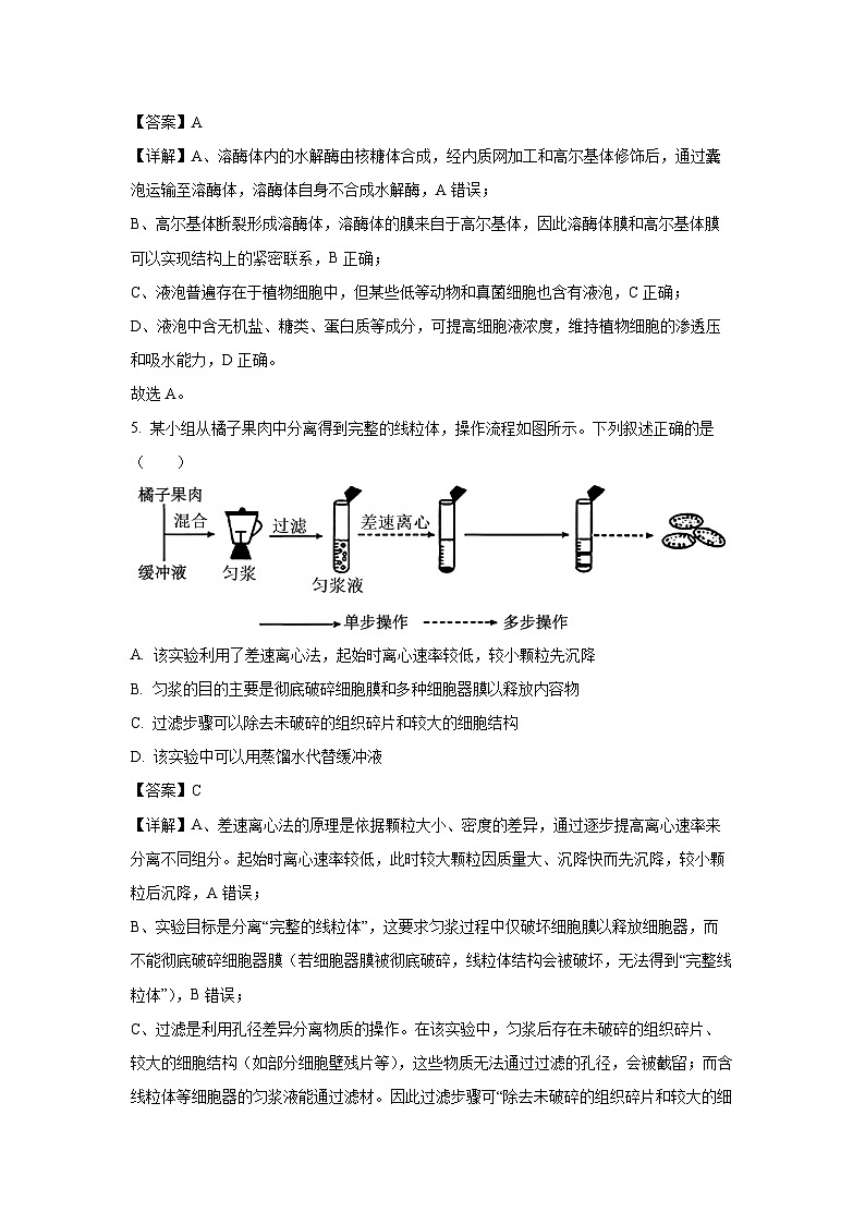 【生物】河北省邢台市联考2025-2026学年高一上学期1月月考试题（解析版）第3页