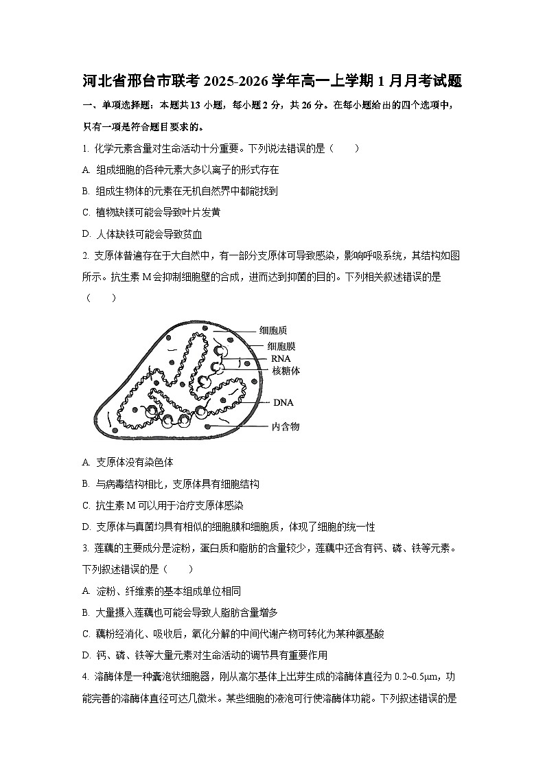 【生物】河北省邢台市联考2025-2026学年高一上学期1月月考试题（学生版）第1页