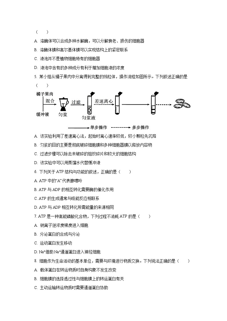 【生物】河北省邢台市联考2025-2026学年高一上学期1月月考试题（学生版）第2页