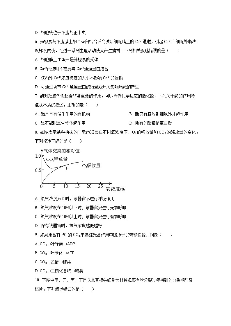 【生物】吉林省吉林市外五县各高中2025-2026学年高一上学期1月期末试题（学生版）第2页
