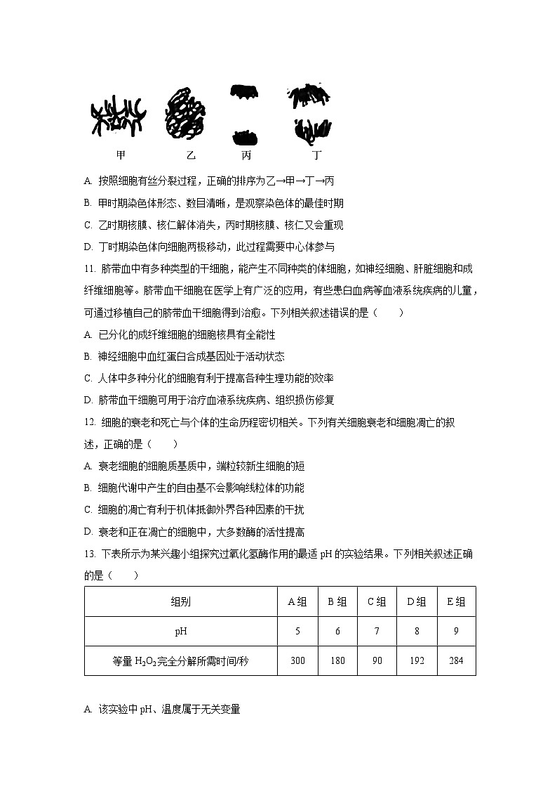 【生物】吉林省吉林市外五县各高中2025-2026学年高一上学期1月期末试题（学生版）第3页