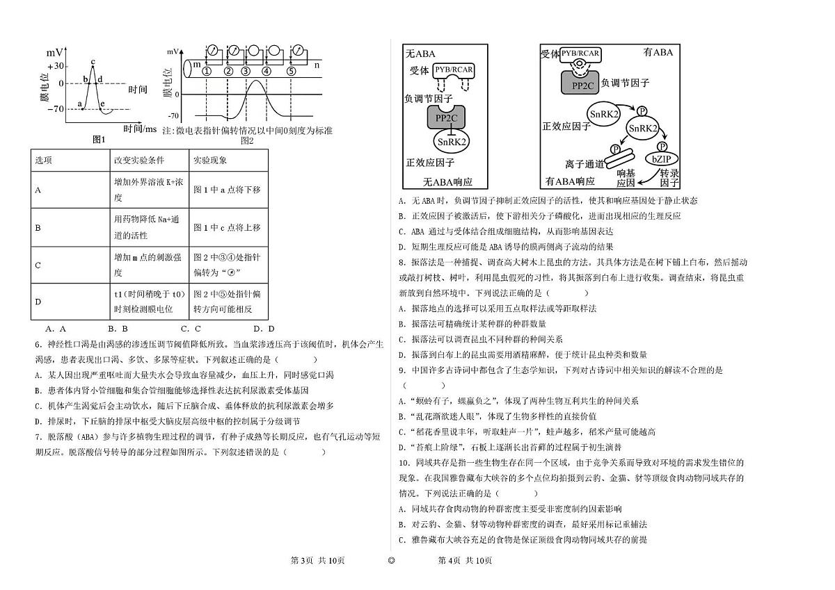 江西景德镇一中2025-2026学年第一学期期末考试高二生物试卷（19、20班）第2页