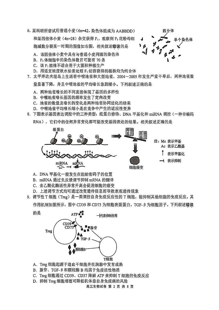 江苏省无锡市2026届高三第一学期期末考试 生物试题及答案第2页