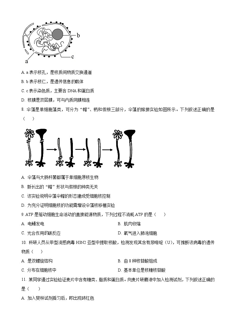 宁波市2025学年第一学期期末考试高一生物学试卷（原卷+解析）第2页