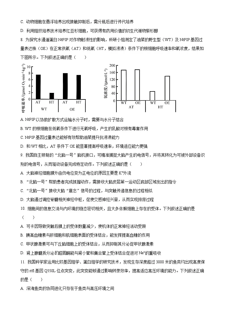 2026届湖南省邵阳市高三第一次联考一模生物试题（原卷+解析）第3页