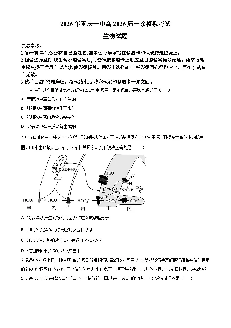 2026届重庆市重庆市沙坪坝区重庆市第一中学校高三一模生物试题（原卷+解析）第1页