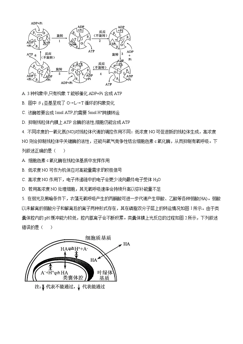2026届重庆市重庆市沙坪坝区重庆市第一中学校高三一模生物试题（原卷+解析）第2页