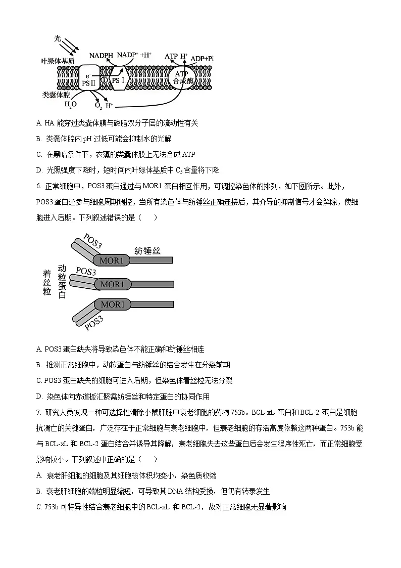 2026届重庆市重庆市沙坪坝区重庆市第一中学校高三一模生物试题（原卷+解析）第3页
