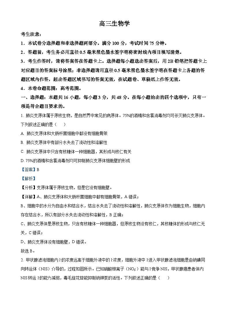 山西省太原市山西大学附属中学校2024-2025学年高三下学期3月月考生物答案第1页