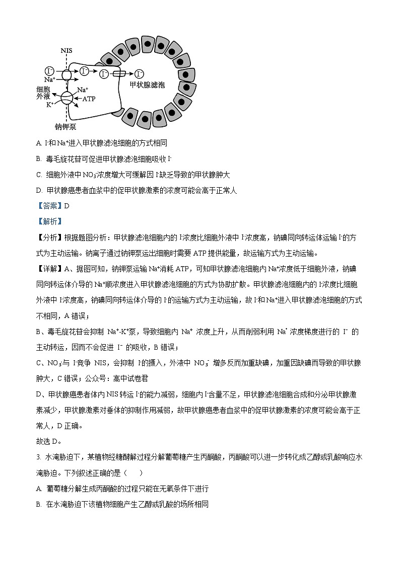 山西省太原市山西大学附属中学校2024-2025学年高三下学期3月月考生物答案第2页