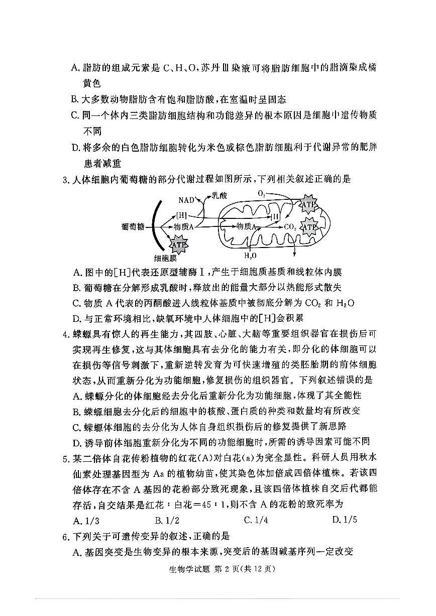 湘豫名校联考2024-2025学年高三春季学期第二次模拟考试生物第2页