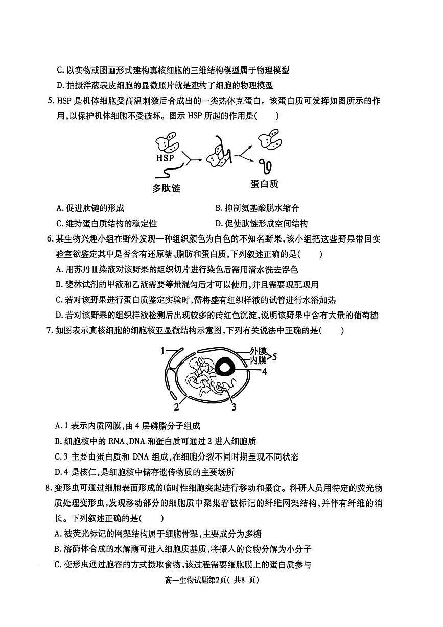 陕西渭南市大荔县2025—2026学年度第一学期期末学业水平评估高一生物学试题第2页