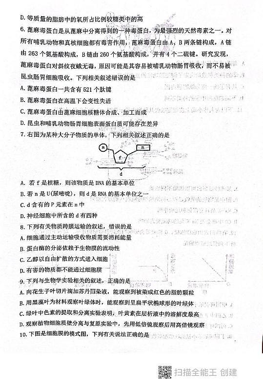 陕西省咸阳市礼泉县第一中学2025-2026学年高一上学期2月期末生物试题第2页