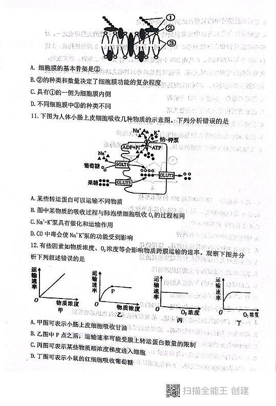 陕西省咸阳市礼泉县第一中学2025-2026学年高一上学期2月期末生物试题第3页