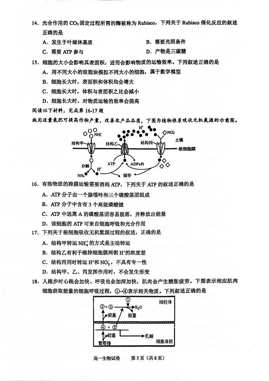 浙江绍兴市2025-2026学年第一学期期末调测高一生物试题第3页