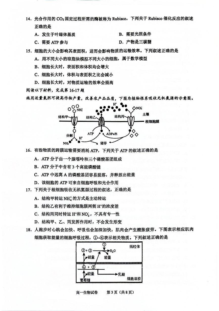 浙江绍兴市2025-2026学年第一学期期末调测高一生物试题第3页