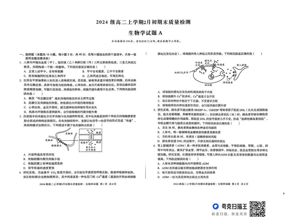 安徽省A10联盟2024级高二上学期2月初期末质量检测生物学试题A第1页