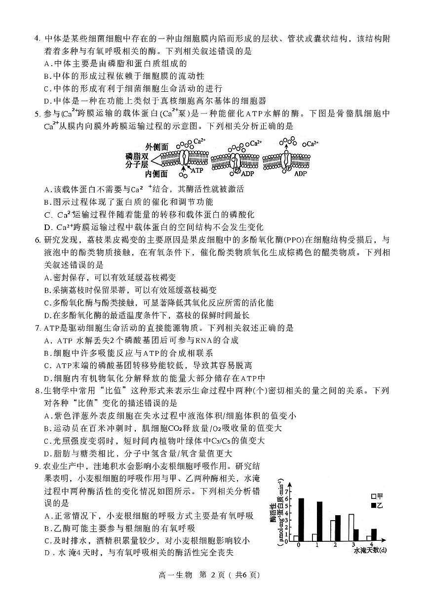河北石家庄市2025-2026学年第一学期期末教学质量检测高一生物试卷第2页