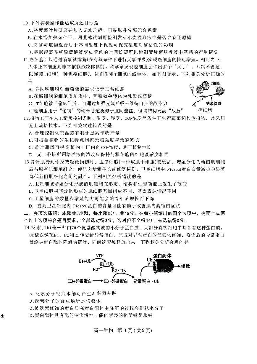 河北石家庄市2025-2026学年第一学期期末教学质量检测高一生物试卷第3页