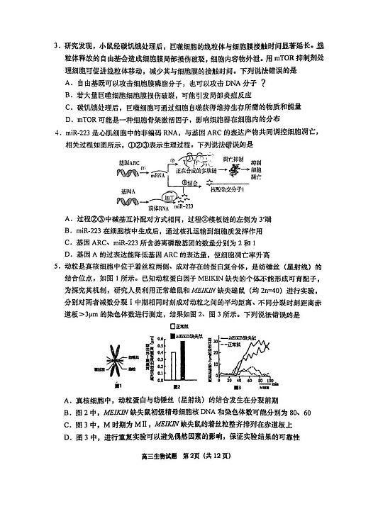 山东省青岛市2026届高三第一学期期末学业水平检测生物试卷第2页