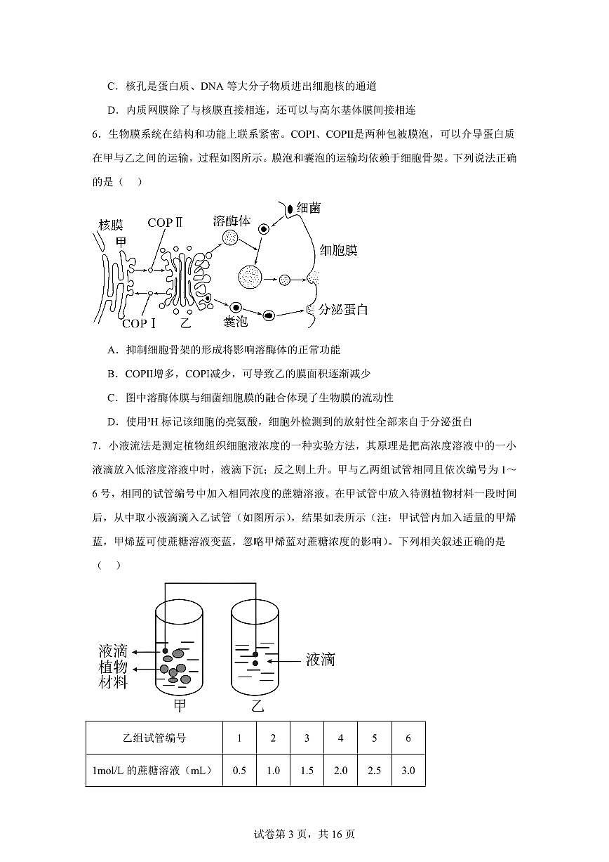 生物-黑龙江省哈尔滨市第六中学2025-2026学年高一上学期期末试卷及答案第3页