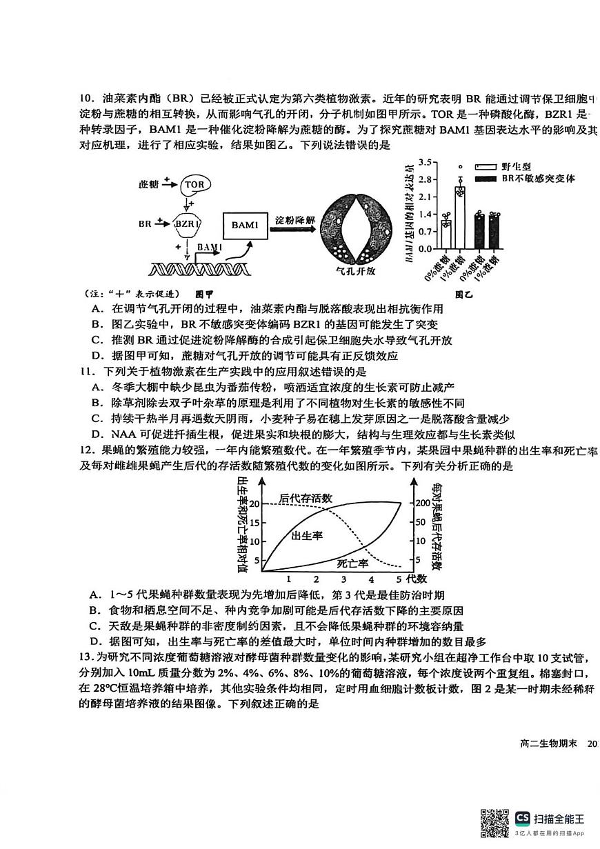 生物-四川省成都市树德中学2025-2026学年高二上学期期末试卷及答案第3页