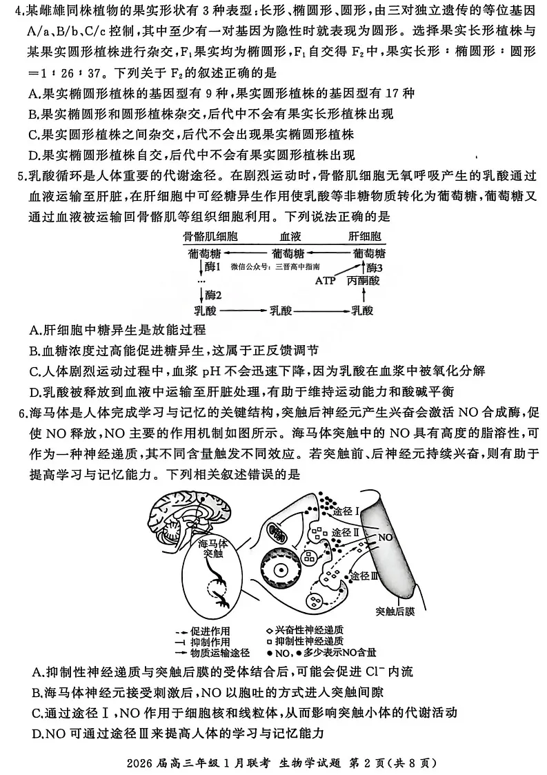 百师联盟2026届高三上学期1月九省联考生物试卷（图片版附解析）第2页