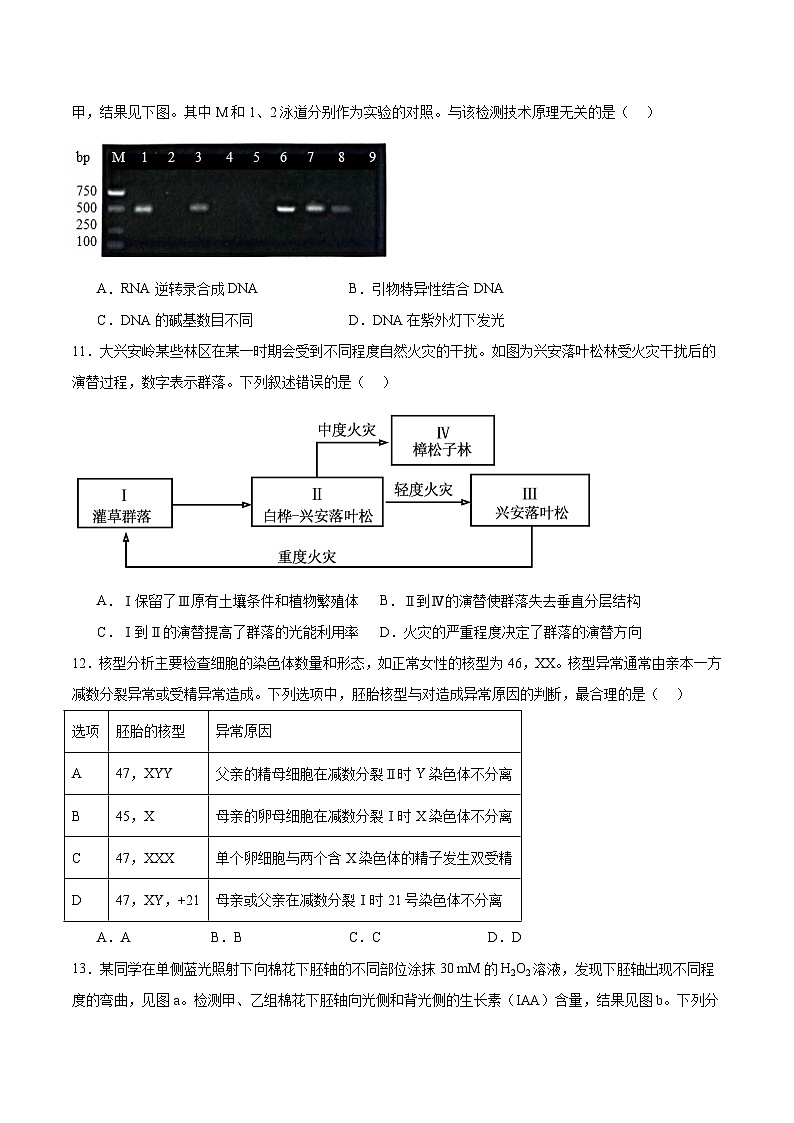 广东省汕头市2026届高三上学期1月教学质量监测生物试卷（Word版附答案）第3页