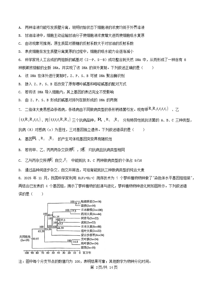 河南省周口市商水县部分学校2026届高三上学期1月期末考试生物试卷（Word版附答案）第2页